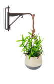 Mini Hanging Plant with Hook