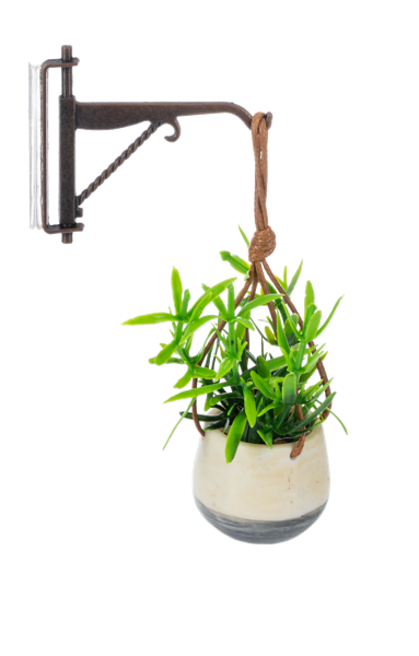 Mini Hanging Plant with Hook