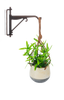 Mini Hanging Plant with Hook