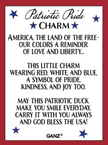 Patriotic Pride Duck Charm