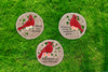 Cheerful Cardinal - Stepping Stones