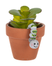 Embrace Your Transformation Caterpillar - Charm