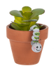 Embrace Your Transformation Caterpillar - Charm