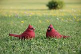 Cardinal Figurines