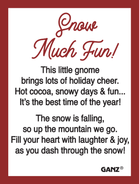 Snow Much Fun Gnomes Charm