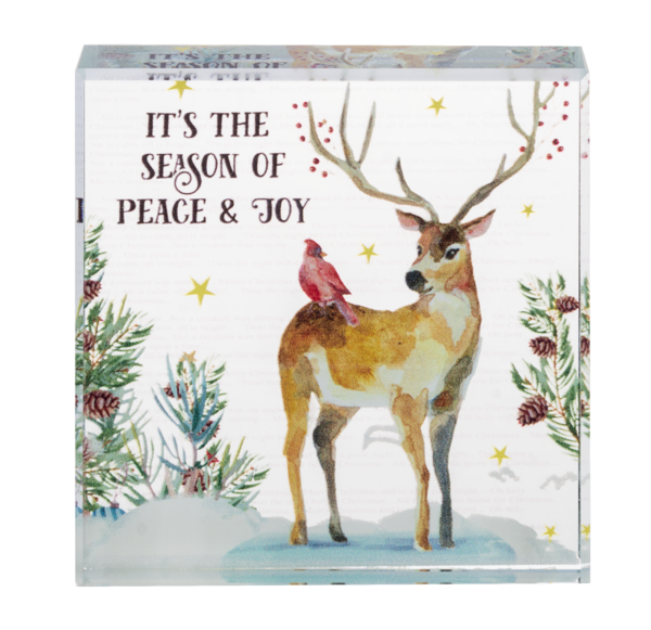 A Winter's Story Beveled Glass Block