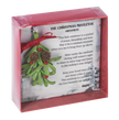 Merry Mistletoe Boxed Ornament