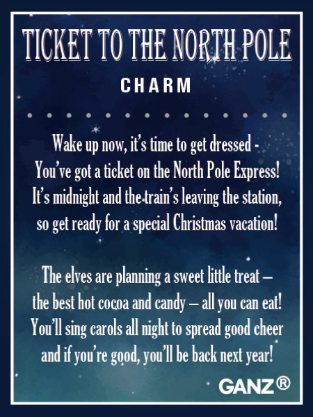 Ticket to the North Pole pocket token