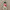 Snowman Light Up Wall Plaque - Joyous Noel