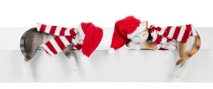 Christmas Cat Shelf Sitters