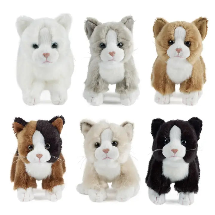 Small Cat Plush