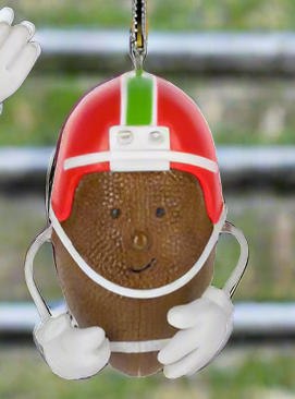 Sport Ball Ornaments