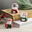 Mini Christmas Snow Globe
