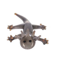 Amazing Axolotl Charms