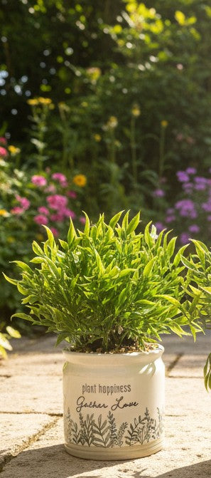 Ceramic Quiet Cottage Planter
