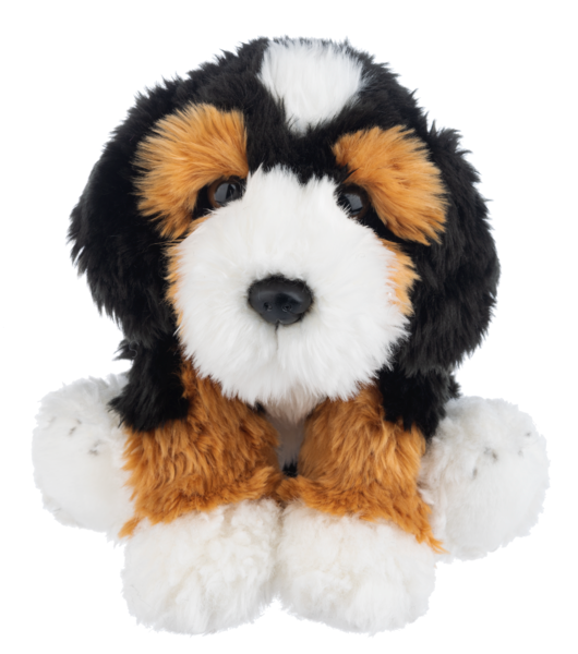 The Heritage Collection Bernedoodle