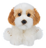 The Heritage Collection Cavachon