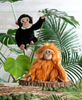 The Heritage Collection Chimpanzee