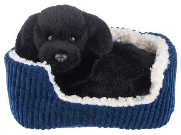 Snuggle'n Snooze Puppies