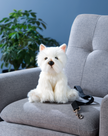 The Heritage Collection West Highland Terrier