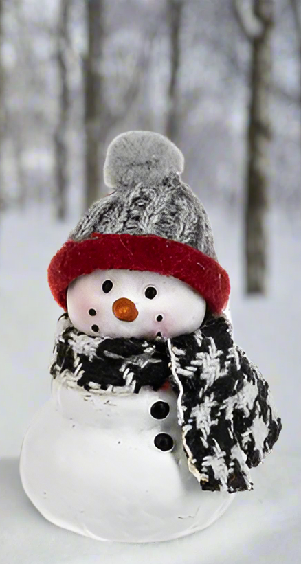 Cozy Snowman pocket charm