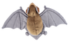 The Heritage Collection Stuffed Bat