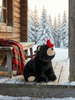 Christmas Plush Bear and Cardinal