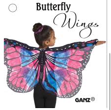 Butterfly Wings Costume