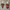 Mistletoe Plaid Glass Ornaments