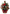 Mini Cardinal Evergreen Trees
