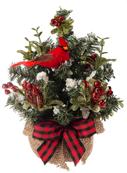 Mini Cardinal Evergreen Trees