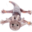 Glass Axolotl Charms