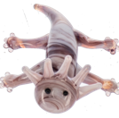 Glass Axolotl Charms
