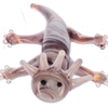 Glass Axolotl Charms