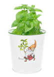 Gnome Herb Planters