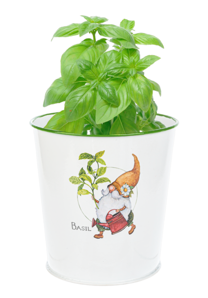 Gnome Herb Planters