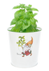 Gnome Herb Planters