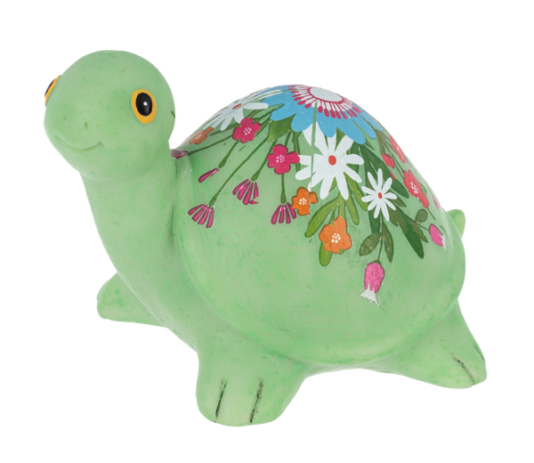 Hide a Key Turtles