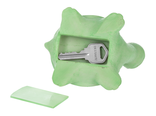 Hide a Key Turtles