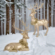 Golden Deer Set (2 pc. set)