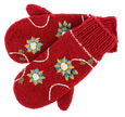 Embroidered Mitten