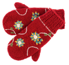 Embroidered Mitten