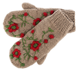 Embroidered Mitten