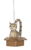 Cat in a box Christmas ornamemt