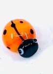 Lucky little ladybug pocket charm