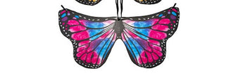 Butterfly Wings Costume