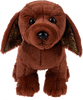 Webkinz Next Chocolate Lab