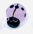 Lucky little ladybug pocket charm