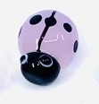 Lucky little ladybug pocket charm