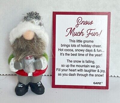 Snow Much Fun Gnomes Charm